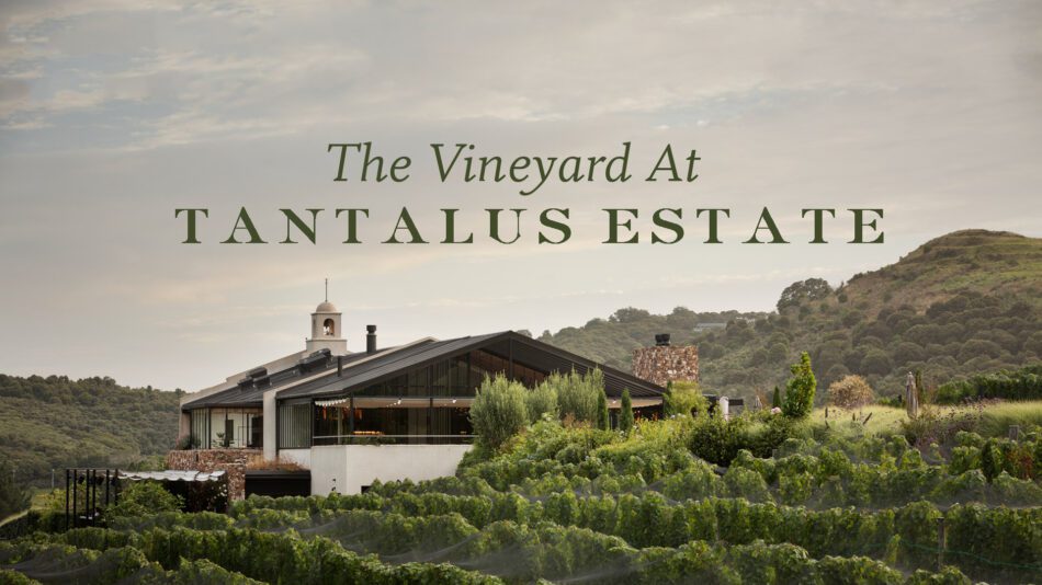 Tantalus Estate Vineyard – A Luxurious Waiheke Experience